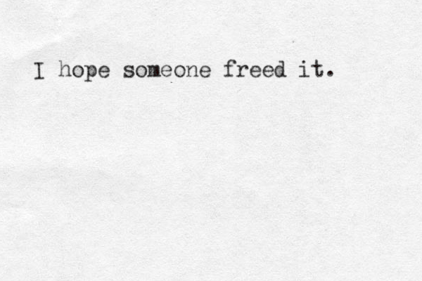 I hope someone freed it. 