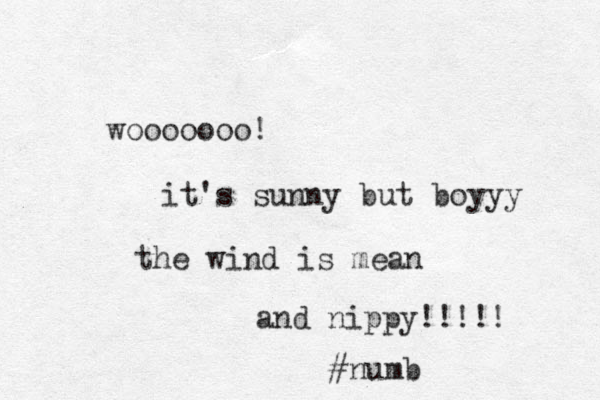 wooooooo! it's sunny but boyyy the wind is mean and nippy!!!!! #numb