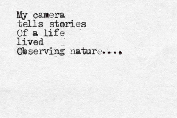 My camera tells stories Of a life lived Observing nature .... 