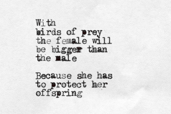 With birds of prey the female will be bigger than the male Because she has to protect her offspring