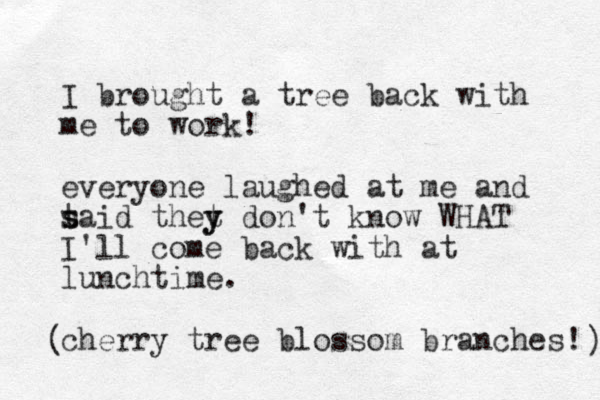 I brought a tree back with me to work! everyone laughed at me and t s said thet y y don't know WHAT I'll come back with at lunchtime. cherry tree blossom branches! ) (