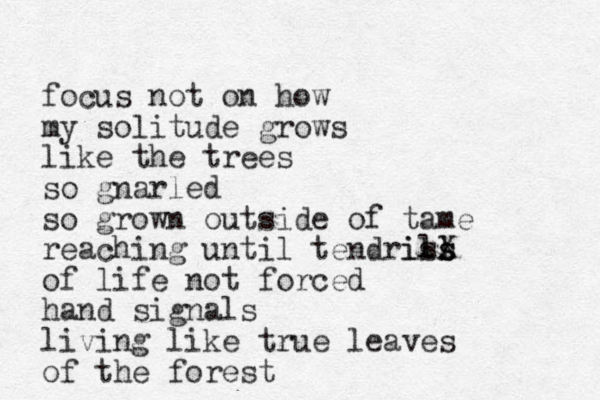 focus not on how my solitude grows like the trees so gnarled so grown outside of tame reaching until tendrisl X ils s of life not forced hand signals living like true leaves of the forest