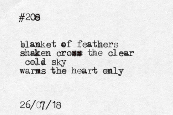 #208 blanket of feathers shaken cross the clear cold sky warms the heart only 26/07/18