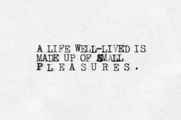 A LIFE WELL-LIVED IS MADE UP OF AM S S ALL P L E A S U R E S .
