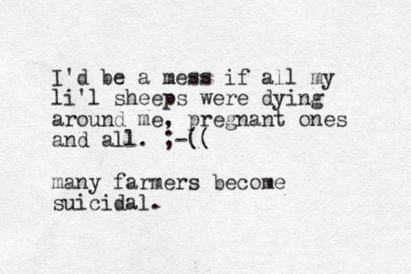 I'd be a mess if all my li'l sheeps were dying around me, pregnant ones and all. ;-(( many farmers become suicidal.