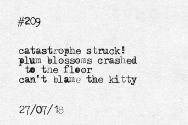 #209 catastrophe struck! plum blossoms crashed to the floor can't blame the kitty 27/07/18