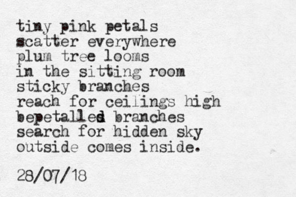 tiny pink petals scatter everywhere plum tree looms in the sitting room sticky branches reach for ceilings high bepetalles branches d d search for hidden sky outside comes inside. 28/07/18