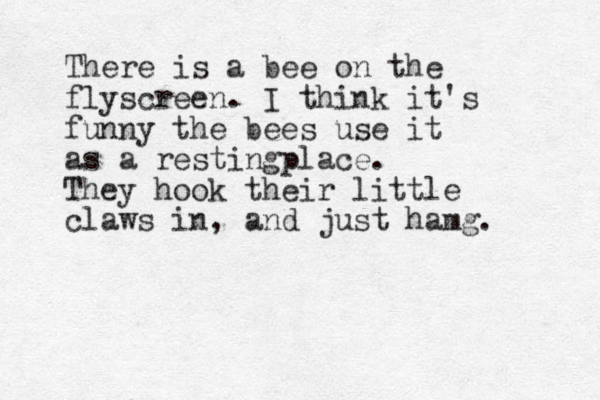 There is a bee on the flyscreen. I think it's funny the bees use it as a restingplace. They hook their little claws in, and just hamg. 