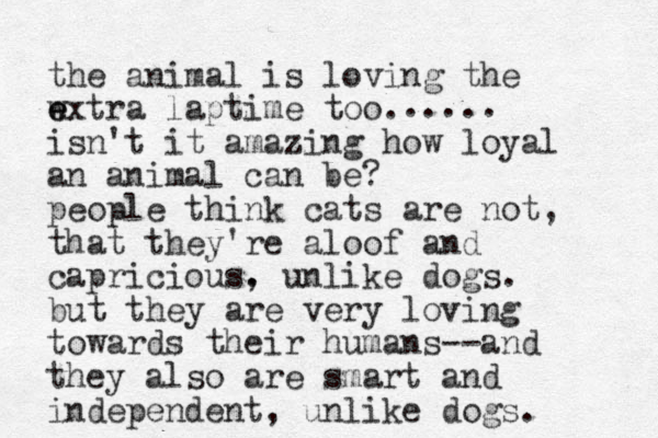 the animal is loving the wxtra e e laptime too. isn't it amazing how loyal an animal can be? people think cats are not, that they're aloof and capricious. , unlike dogs. but they are very loving towards their humans--and they also are smart and independent, unlike dogs. ..... 