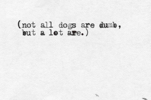 (not all dogs are dumb, but a lot are.)