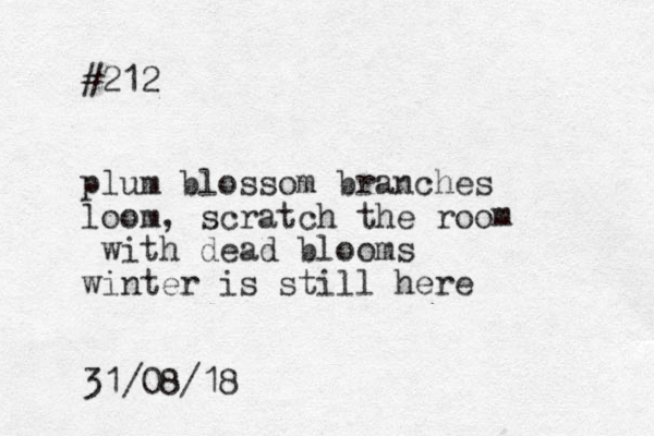 #212 plum blossom branches loom, scratch the roo with dead blooms winter is still here m 31/08/18