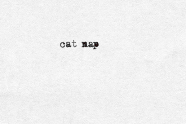 cat nap 