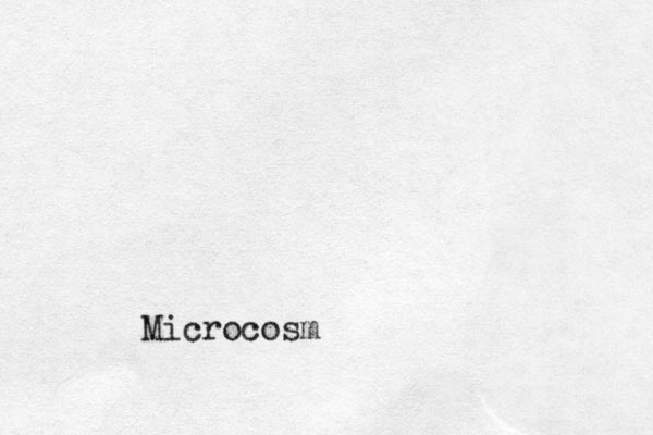 Microcosm