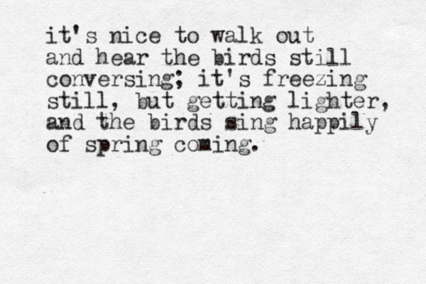 it's nice to walk out and hear the birds still conversing; it's freezing still, but getting lighter, and the birds sing happily of spring coming.