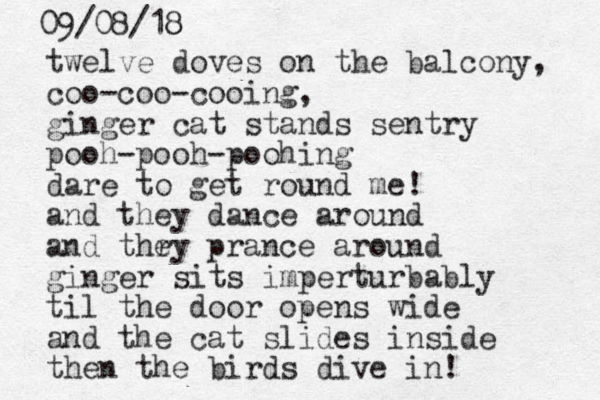 twelve doves on the balcony, coo-coo-cooing, ginger cat stands sentry pooh-pooh-poohing dare to get round me! and they dance around and thry prance around e ginger sits imperturbably til the door opens wide and the cat slides inside then the birds dive in! 09/08/18 8