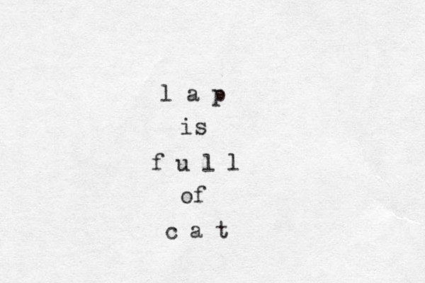 l a p is f u l l of c a t 
