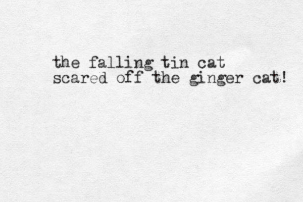 the falling tin cat scared off the ginger cat! 