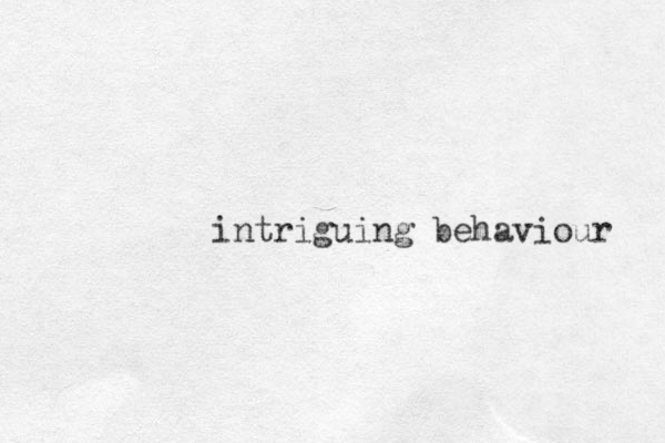 intriguing behaviour 