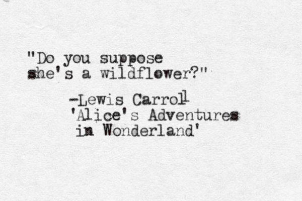 "Do you suppose she's a wildflower?" -Lewis Carrol ' l Alice's Adventures in Wonderland'