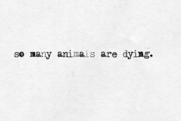 so many animals are dying. 