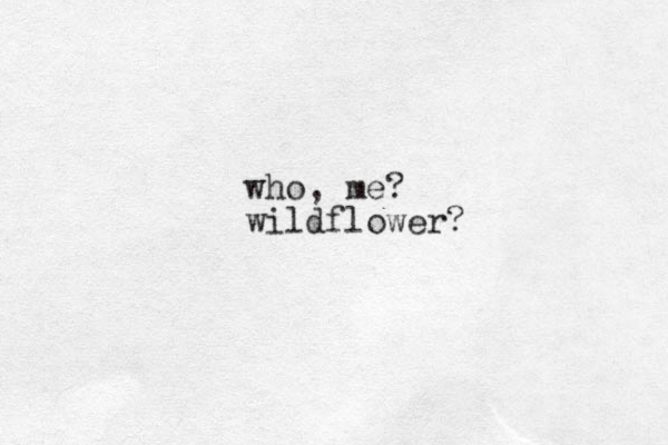 who, me? wildflower?