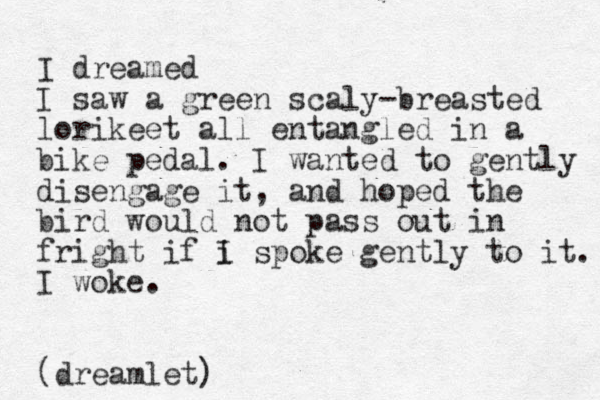 I dreamed I saw a green scaly-breasted lorikeet all entangled in a bike pedal. I wanted to gently disengage it, and hoped the bird would not pass out in fright if i I spoke gently to it. I woke. (dreamlet)