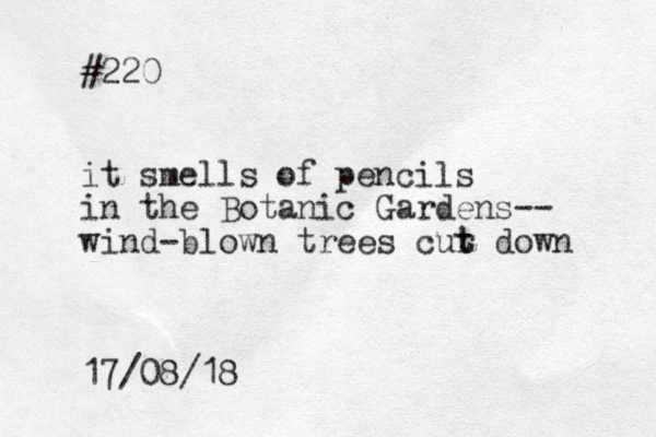#220 it smells of pencils in the Botanic Gardens-- wind-blown trees cur t t down 17/08/18