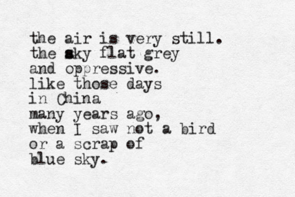 the air is very still. the aky s s flat grey and oppressive. like those days in China many years ago, when I saw not a bird or a scrap of blue sky.