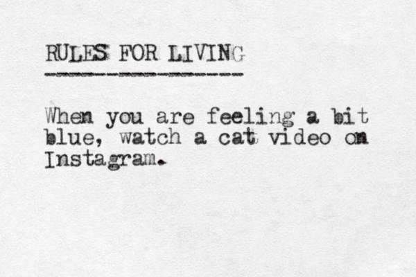 RULES FOR LIVING ---------------- When you are feeling a bit blue, watch a cat video on Instagram.