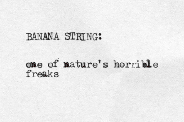 BANANA STRING: one of nature's horrible freaks