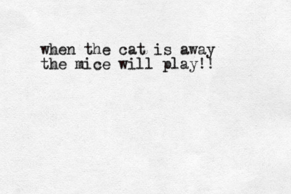 when the cat is away the mice will play!!