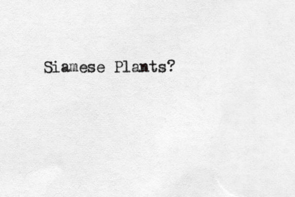 Siamese Plants?