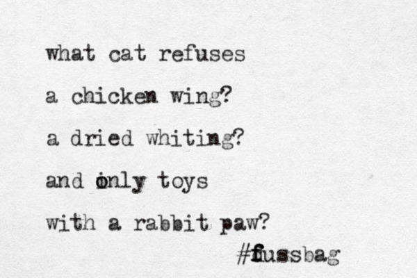 what cat refuses a chicken wing? a dried whiting? and inly o o toys with a rabbit paw? #d f f fussbag 
