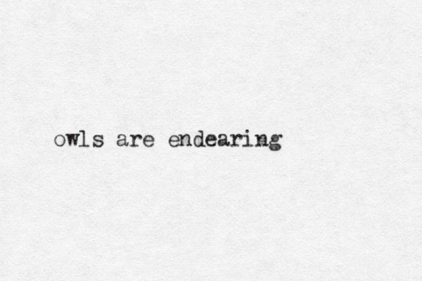 owls are endearing