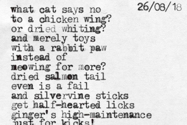 what cat says no to a chicken wing? or dried whiting? and merely toys with a rabbit paw instead of meowing for more? dried salmon tail even is a fail and silver vine sticks get half-hearted licks ginger's high-maintenance just for kicks! u 8 1 / 8 0 / 6 2 