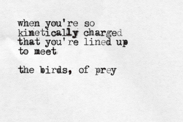 when you're so kinetically charged that you're lined up to meet the birds, of prey