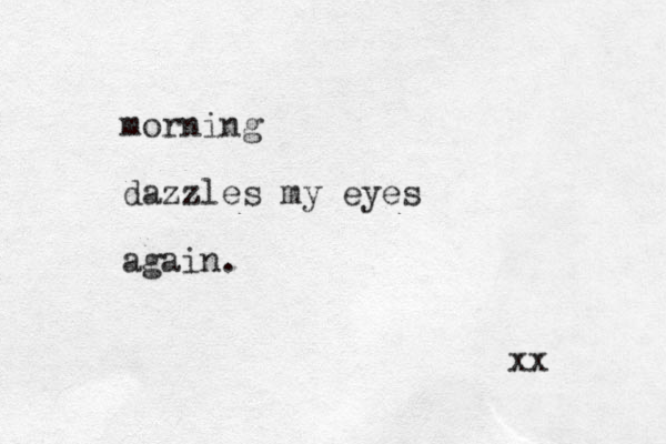 morning dazzles my eyes again. xx