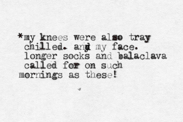 *my knees were also tray chilled. any d d my face. longer socks and balaclava called for on such mornings as these!