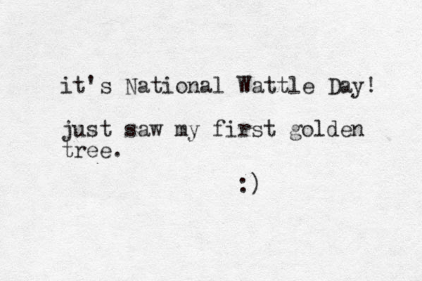 it's National Wattle Day! just saw my first golden tree. :)