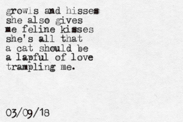 growls and hisses she also gives me feline kisses she's all that a cat should be a lapful of love trampling me. 03/09/18 