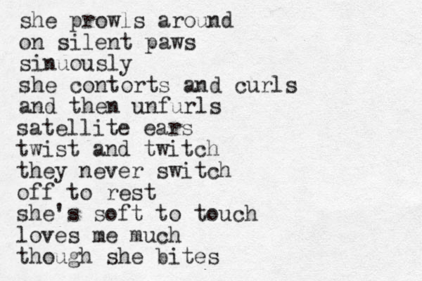 she prowls around on silent paws sinuously she contorts and curls and then unfurls satellite ears twist and twitch they never switch off to rest she's soft to touch loves me much though she bites 