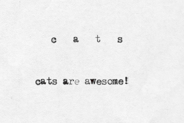 c a t s cats are awesome! 