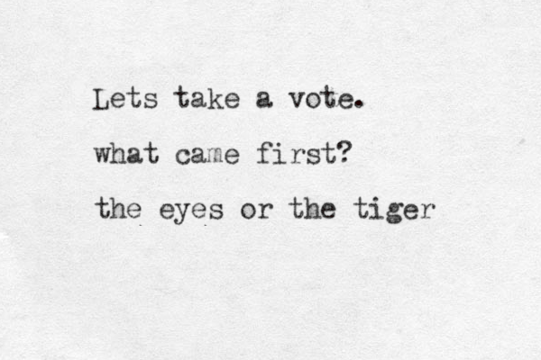 Lets take a vote. what came first? the eyes or the tiger