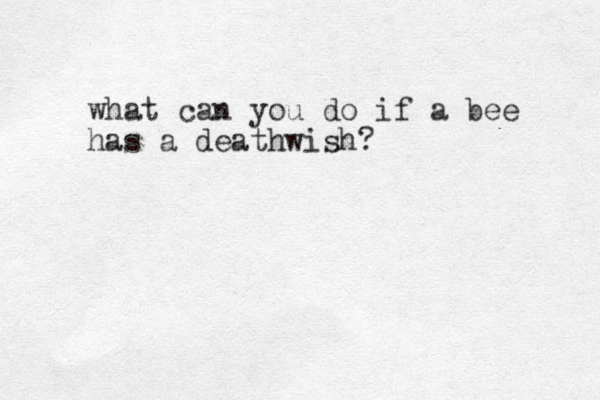 what can you do if a bee has a deathwish?