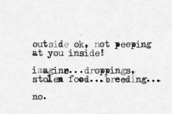 outside ok, not peeping at you inside! imaginr e...droppings, stolen food...breeding... no.