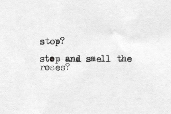 stop? stop and smell the roses?