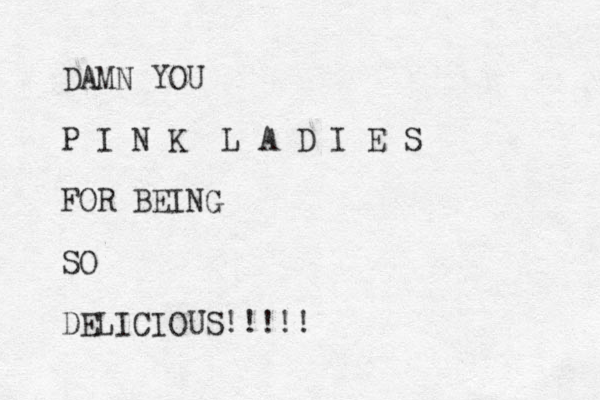 DAMN YOU P I N K L A D I E S FOR BEING SO DELICIOUS!!!!! 