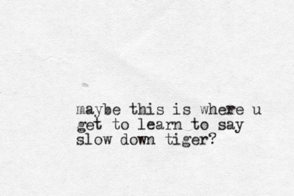 maybe this is where u get to learn to say slow down tiger?