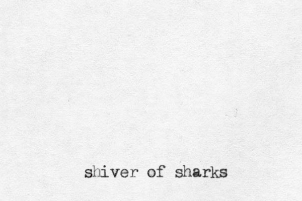 shiver of sharks