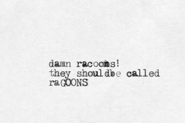 damn racoob ns! they shouldbe called raGOO S N